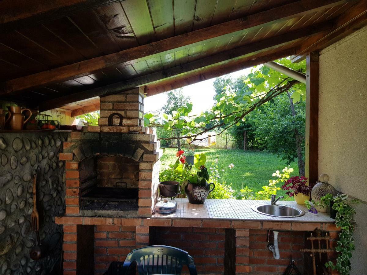Pensiunea Bunea Haţeg Buitenkant foto